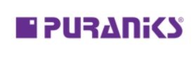 Puranik Builders